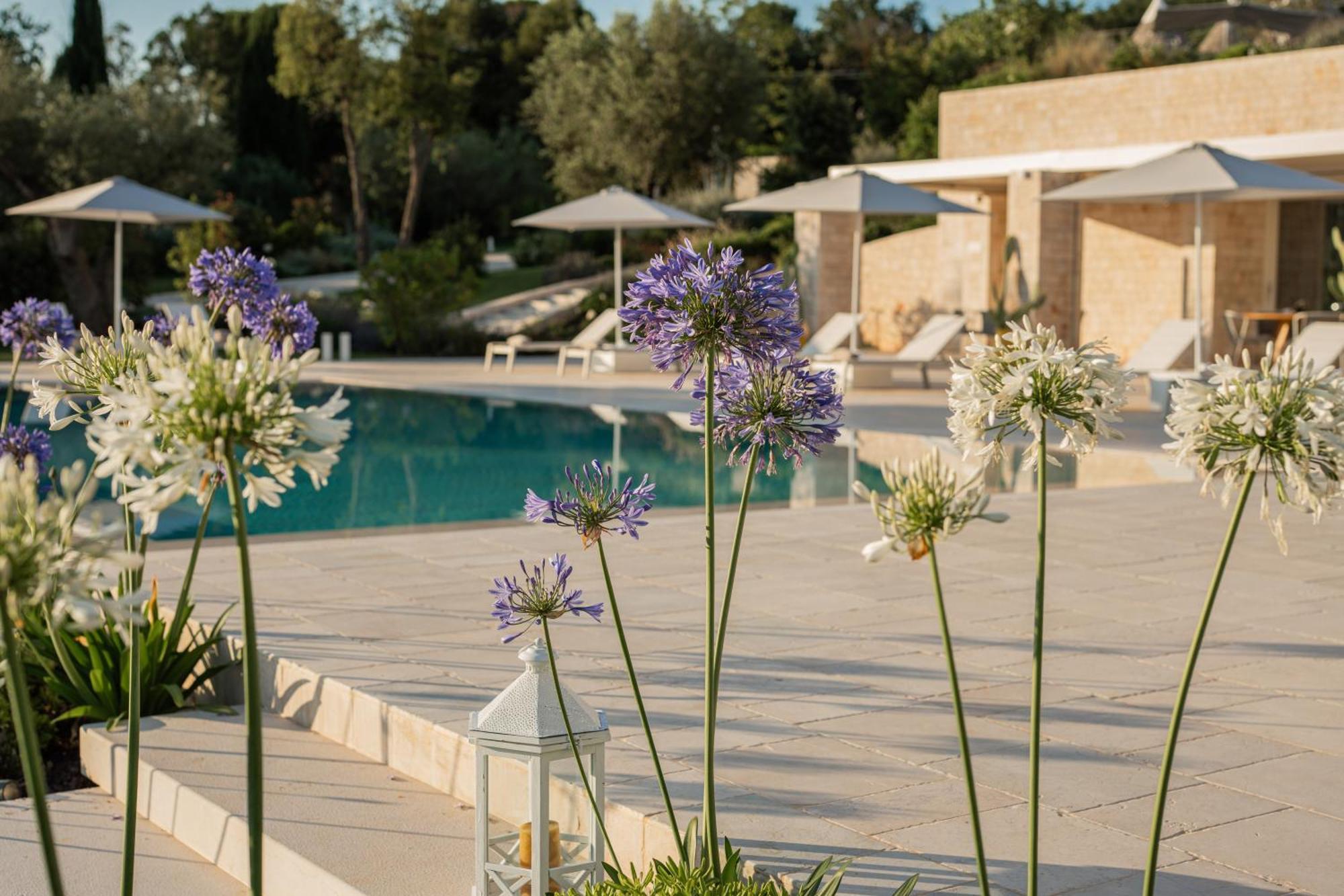チステルニーノ Essenza Relais Contemporaneo Bed & Breakfast エクステリア 写真